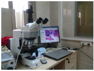 實(shí)拍設(shè)備圖片（MD50+蔡司顯微鏡+病理報告系統(tǒng)）