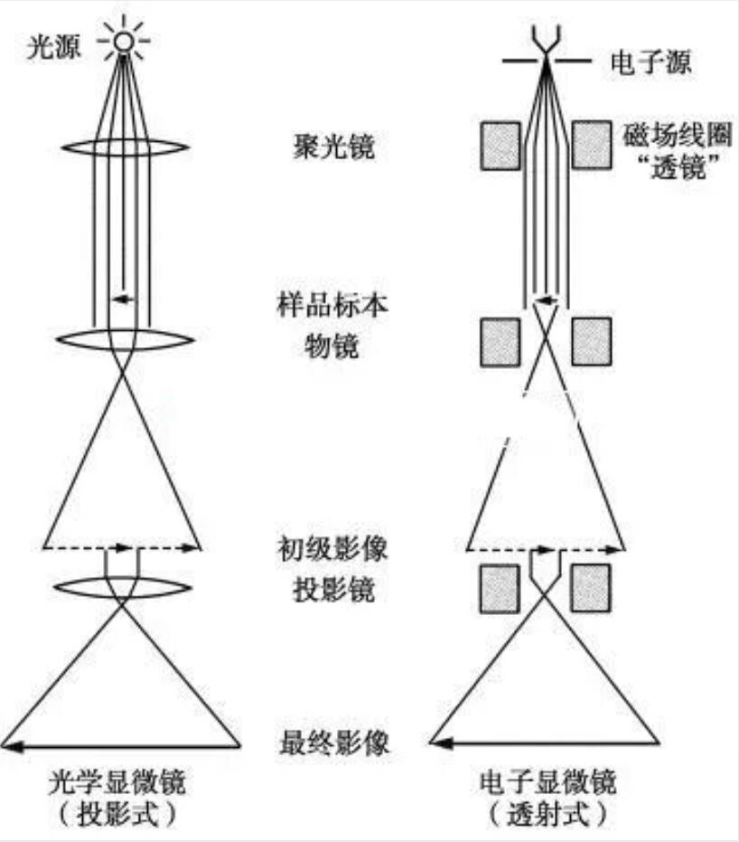 熒光顯微鏡